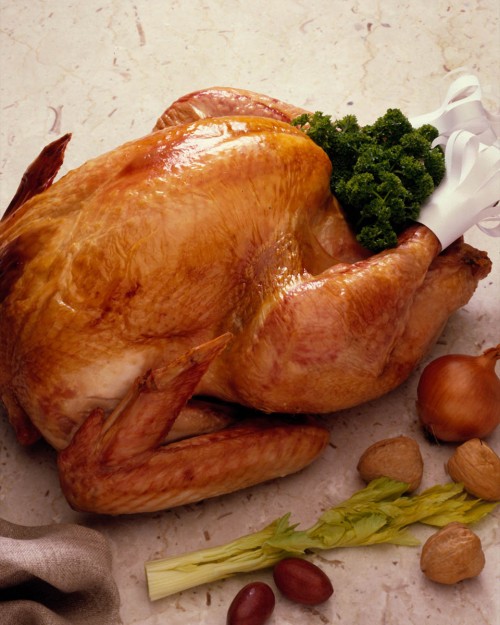 How to Bake the Perfect Turkey